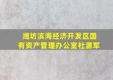 潍坊滨海经济开发区国有资产管理办公室杜源军