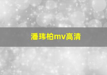 潘玮柏mv高清