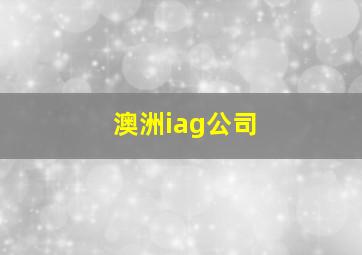 澳洲iag公司