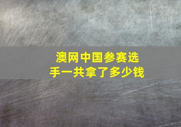 澳网中国参赛选手一共拿了多少钱