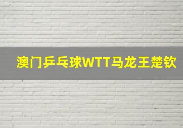 澳门乒乓球WTT马龙王楚钦