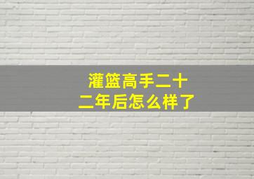 灌篮高手二十二年后怎么样了