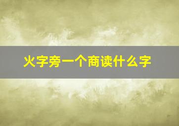 火字旁一个商读什么字