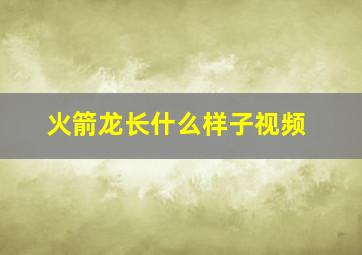 火箭龙长什么样子视频