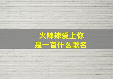 火辣辣爱上你是一首什么歌名