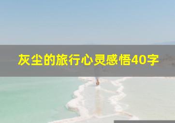 灰尘的旅行心灵感悟40字