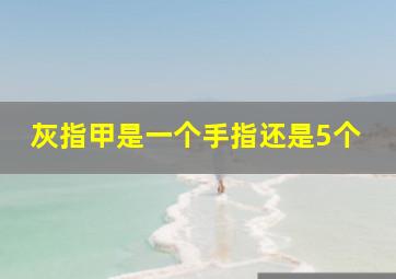 灰指甲是一个手指还是5个