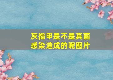 灰指甲是不是真菌感染造成的呢图片