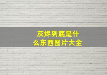 灰烬到底是什么东西图片大全