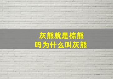 灰熊就是棕熊吗为什么叫灰熊