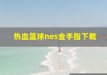 热血篮球nes金手指下载