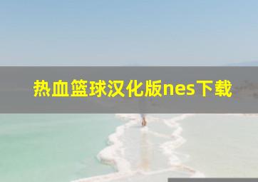 热血篮球汉化版nes下载