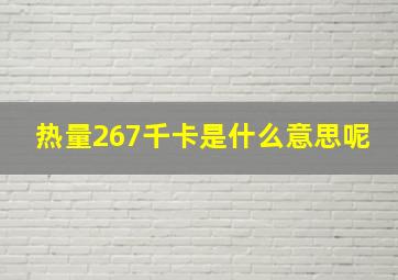 热量267千卡是什么意思呢