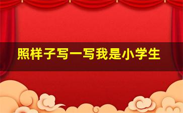 照样子写一写我是小学生