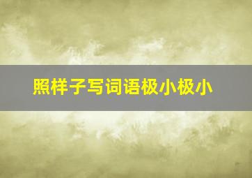 照样子写词语极小极小