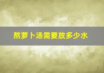 熬萝卜汤需要放多少水