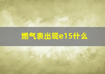 燃气表出现e15什么