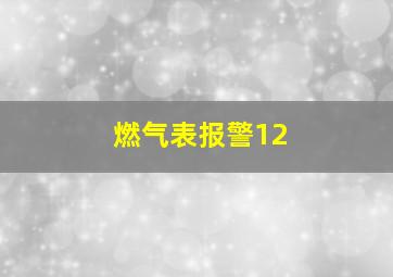 燃气表报警12