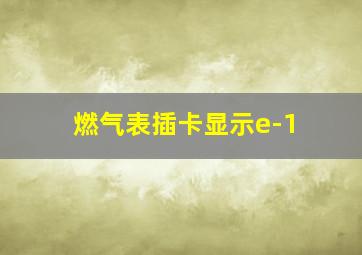 燃气表插卡显示e-1