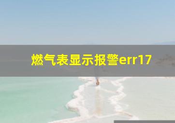 燃气表显示报警err17