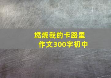 燃烧我的卡路里作文300字初中