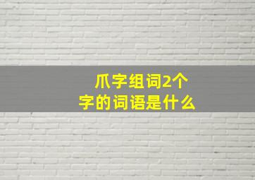 爪字组词2个字的词语是什么