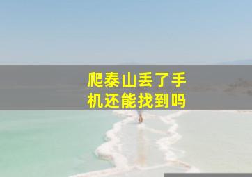 爬泰山丢了手机还能找到吗