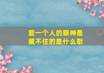 爱一个人的眼神是藏不住的是什么歌