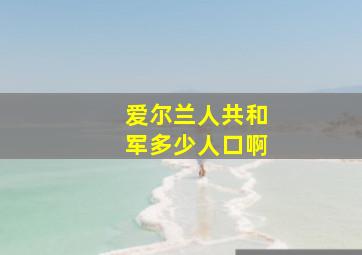 爱尔兰人共和军多少人口啊