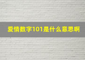 爱情数字101是什么意思啊