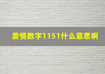 爱情数字1151什么意思啊