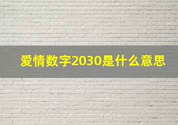 爱情数字2030是什么意思