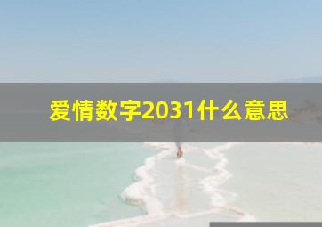 爱情数字2031什么意思