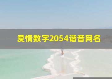 爱情数字2054谐音网名