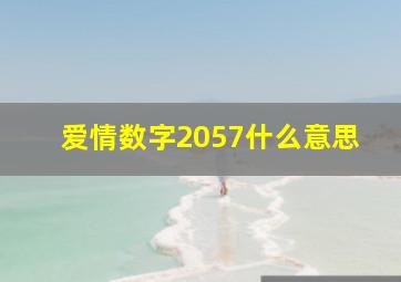 爱情数字2057什么意思