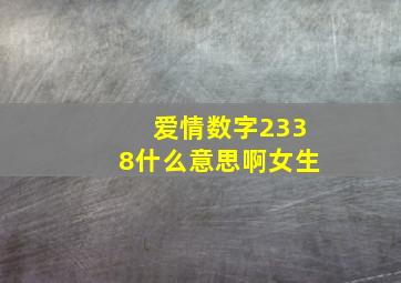 爱情数字2338什么意思啊女生