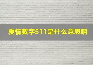 爱情数字511是什么意思啊