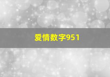 爱情数字951