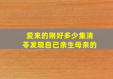 爱来的刚好多少集清苓发现自已亲生母亲的