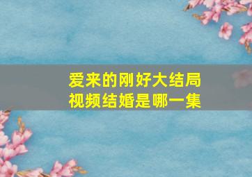 爱来的刚好大结局视频结婚是哪一集