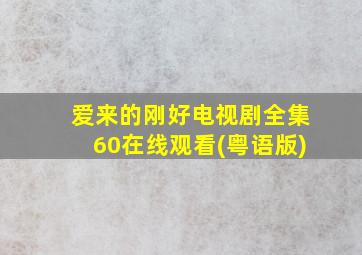 爱来的刚好电视剧全集60在线观看(粤语版)