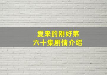 爱来的刚好第六十集剧情介绍