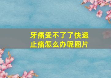 牙痛受不了了快速止痛怎么办呢图片