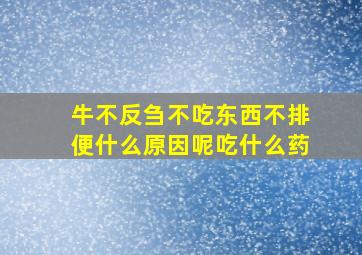 牛不反刍不吃东西不排便什么原因呢吃什么药