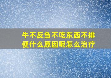 牛不反刍不吃东西不排便什么原因呢怎么治疗