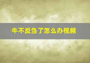 牛不反刍了怎么办视频