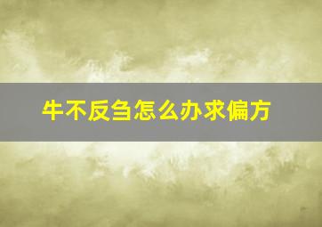 牛不反刍怎么办求偏方