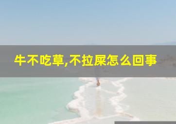 牛不吃草,不拉屎怎么回事