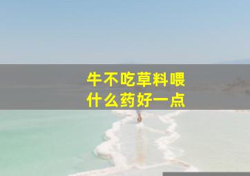 牛不吃草料喂什么药好一点