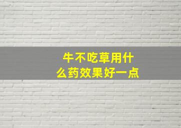 牛不吃草用什么药效果好一点